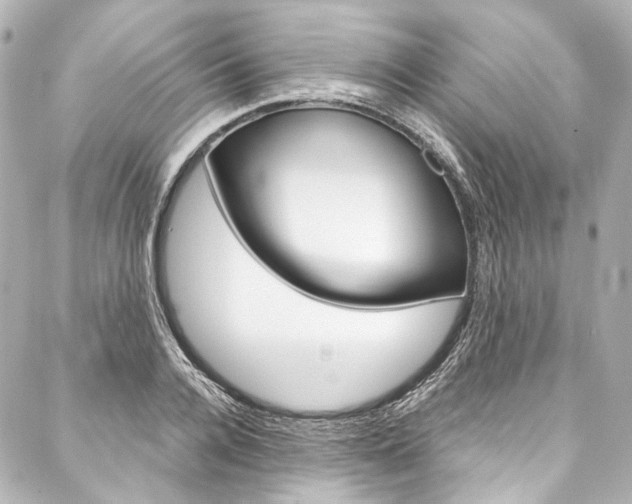 X0000088090936200705111058