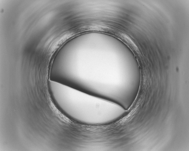 X0000088090938200705111058