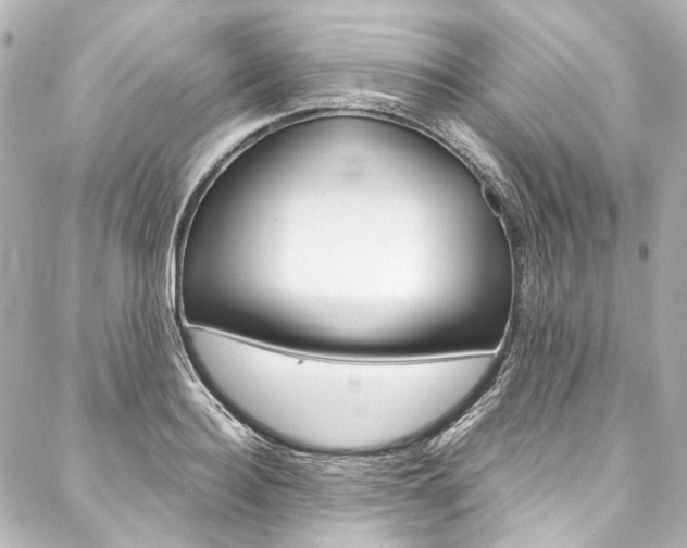 X0000088090940200705111058