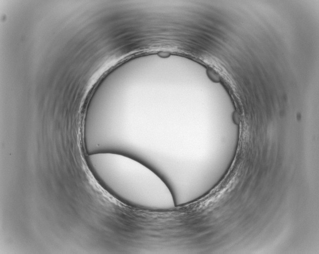 X0000088090941200705111058
