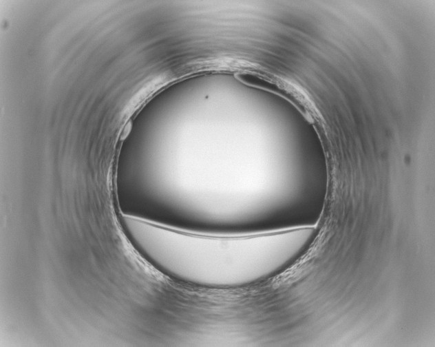 X0000088090946200705111058