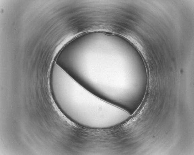 X0000088090949200705111059