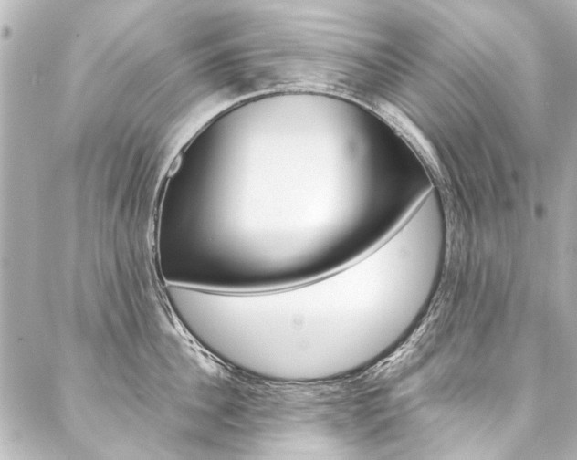 X0000088090956200705111059