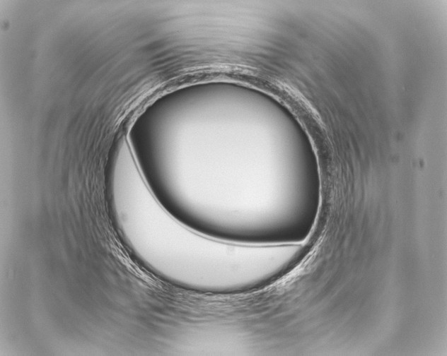 X0000088090969200705111058