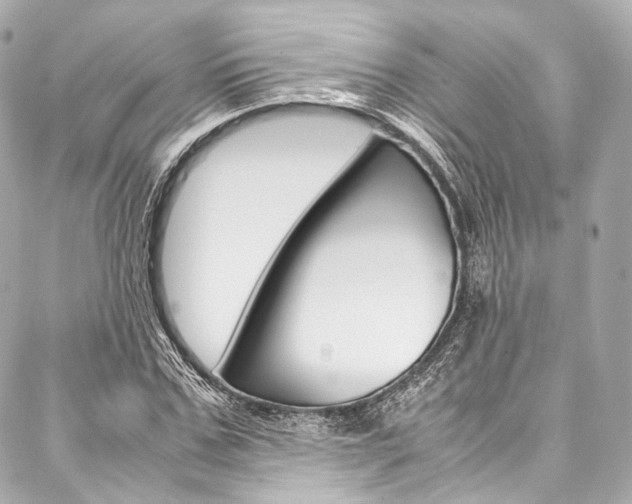 X0000088090971200705111058