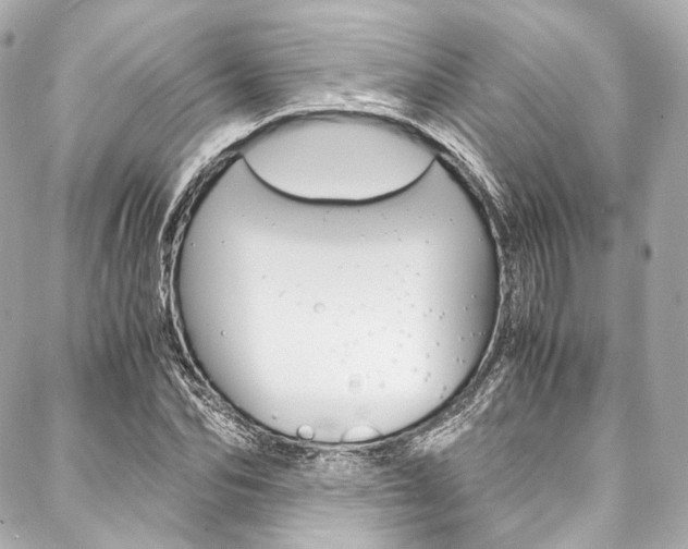 X0000088090974200705111058