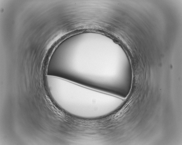 X0000088090975200705111058