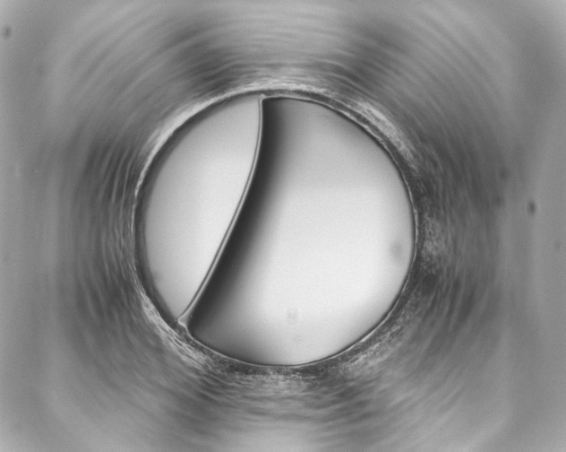 X0000088090980200705111058