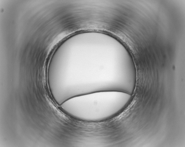 X0000088090982200705111058