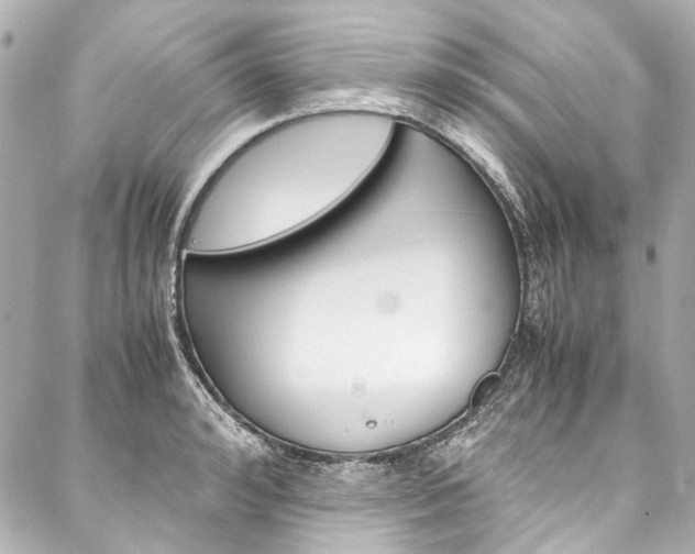 X0000088090992200705111057