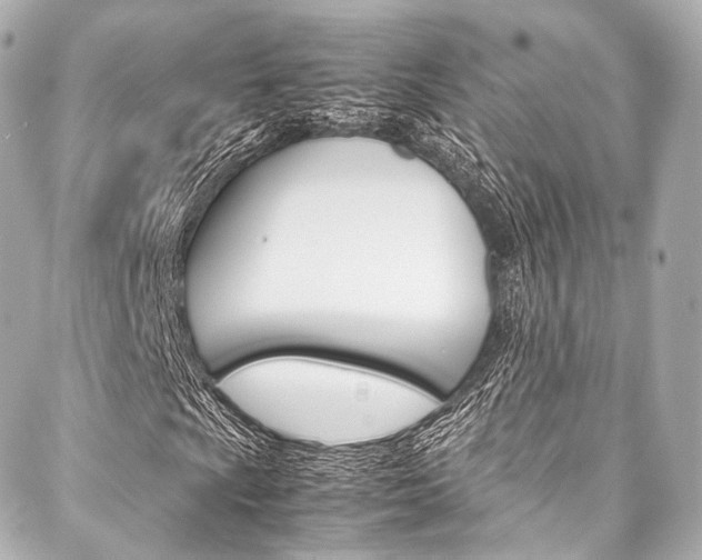 X0000088091009200705111056