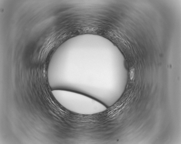X0000088091011200705111056