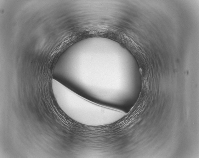 X0000088091012200705111056