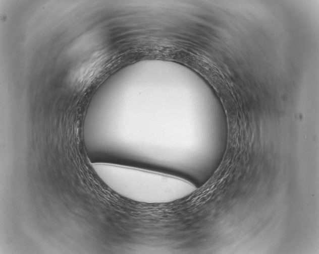 X0000088091013200705111056