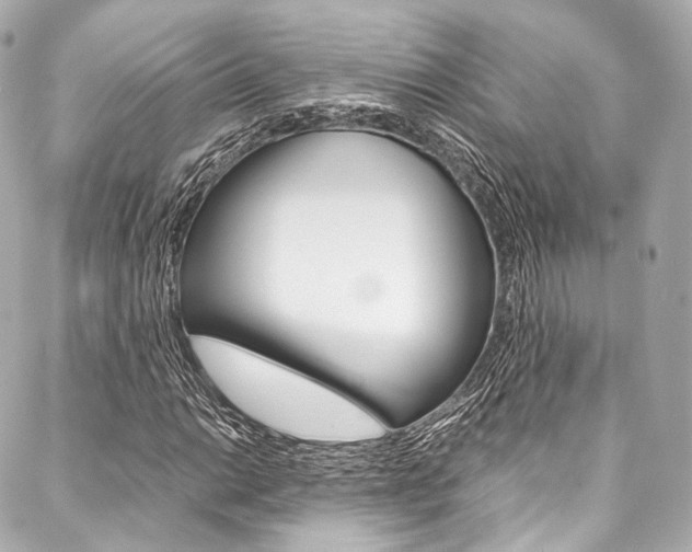 X0000088091014200705111056