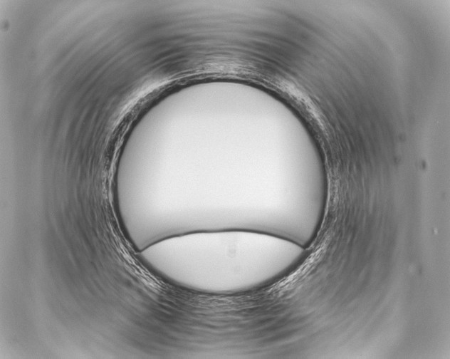 X0000088091019200705111057