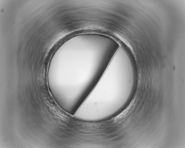X0000088091021200705111057
