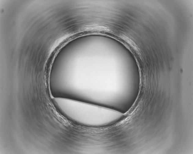 X0000088091022200705111057