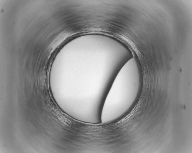 X0000088091023200705111057