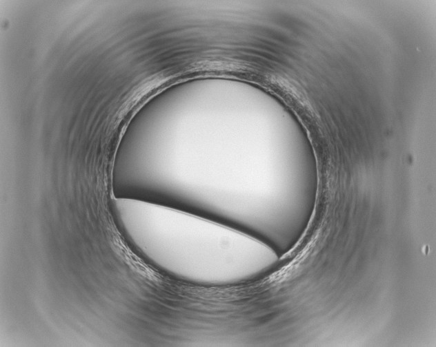 X0000088091025200705111057