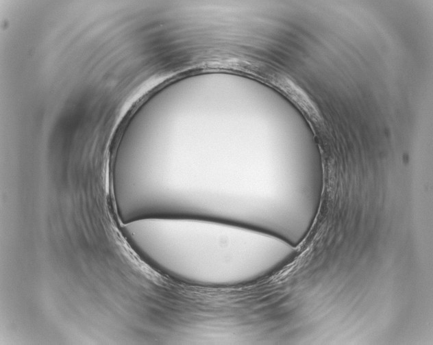 X0000088091036200705111057