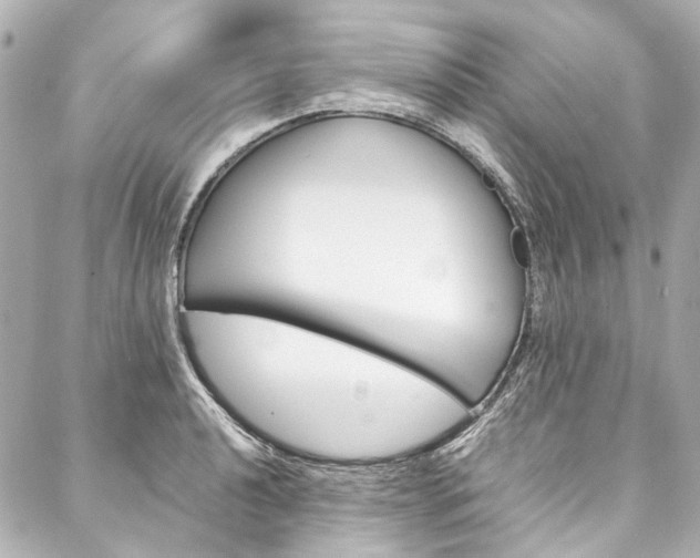 X0000088091040200705111057