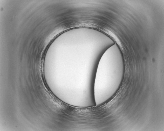 X0000088091043200705111057