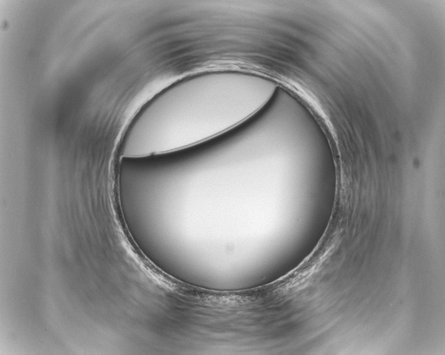 X0000088091045200705111057