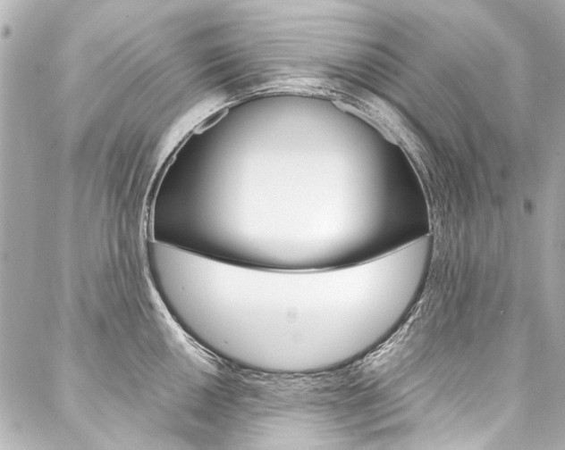 X0000088091050200705111057