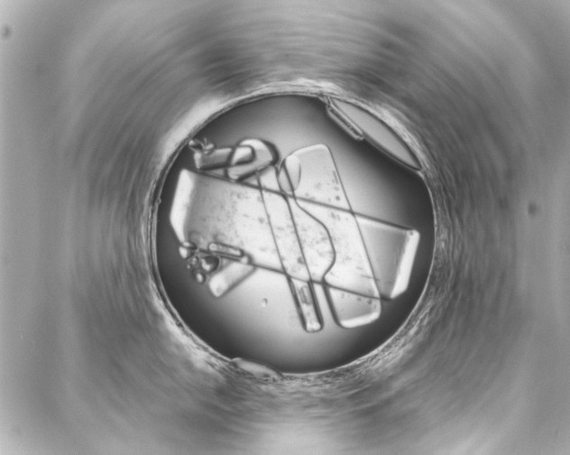 X0000088091054200705111057
