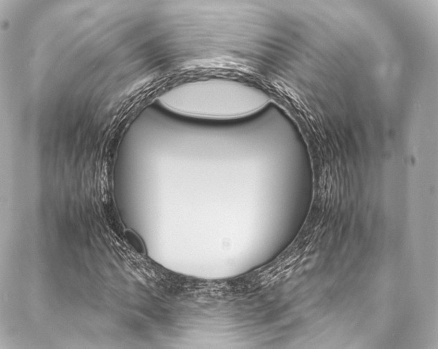 X0000088091062200705111056