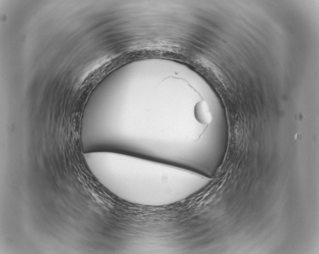 X0000088091064200705111056