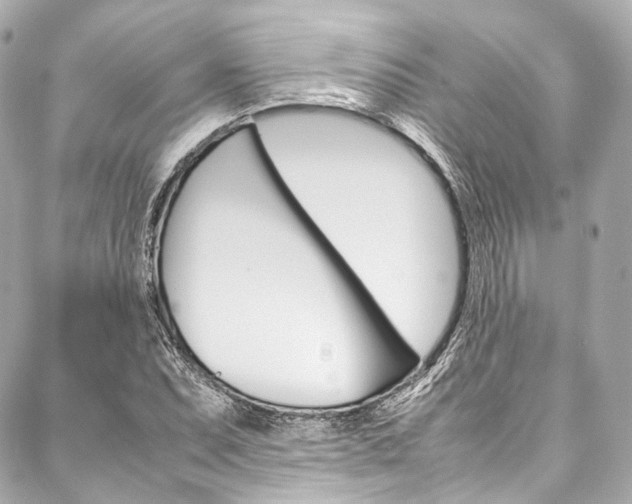 X0000088091071200705111056