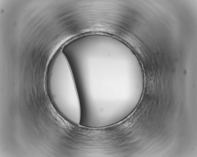 X0000088091076200705111056