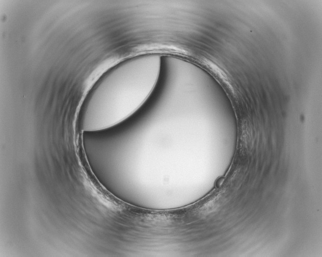 X0000088091082200705111056