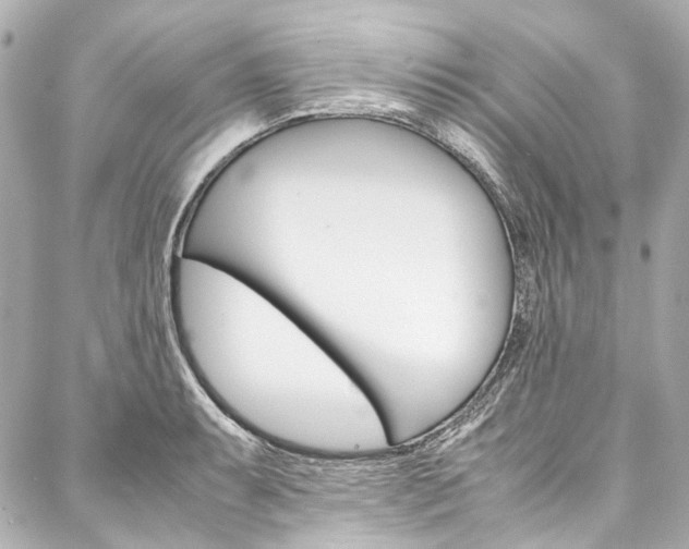X0000088091087200705111056