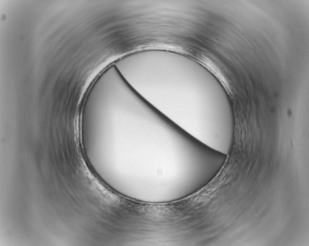 X0000088091092200705111056