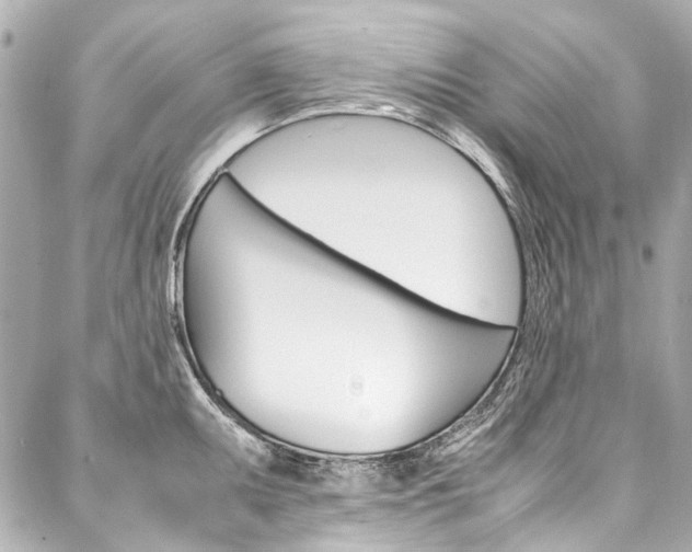X0000088091095200705111056