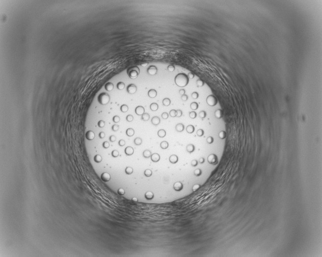 X0000088091105200705111055