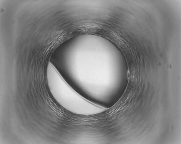 X0000088091108200705111055