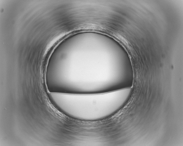 X0000088091120200705111055