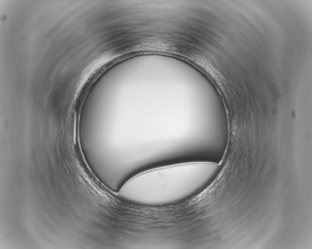 X0000088091123200705111055