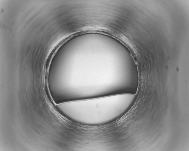 X0000088091124200705111055