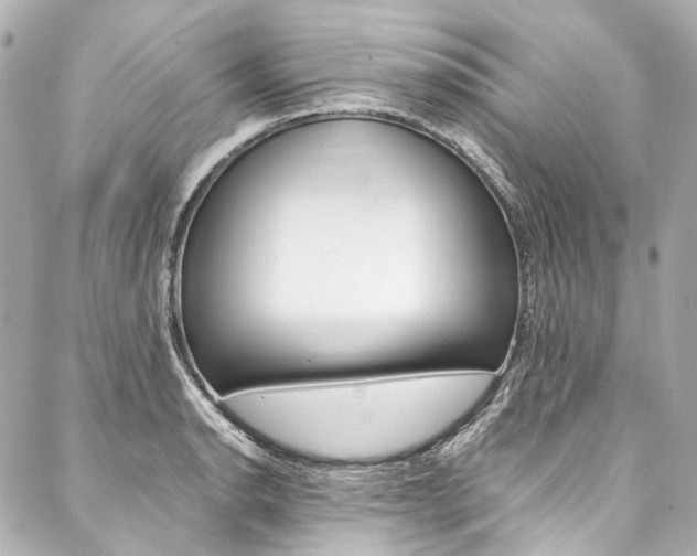 X0000088091134200705111055