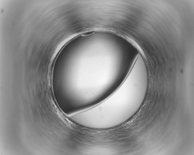 X0000088091148200705111055