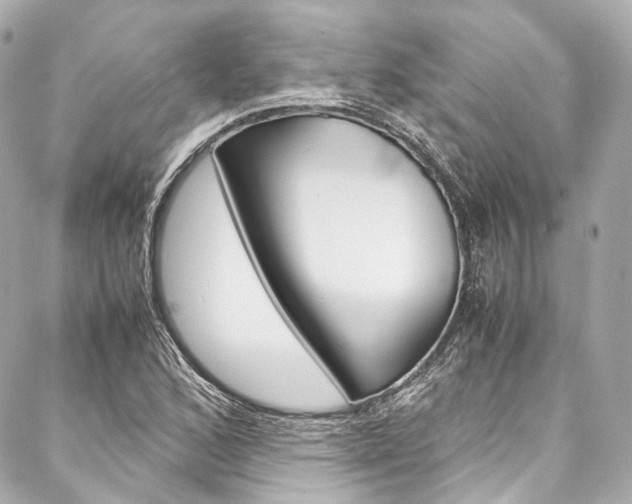 X0000088091168200705111055