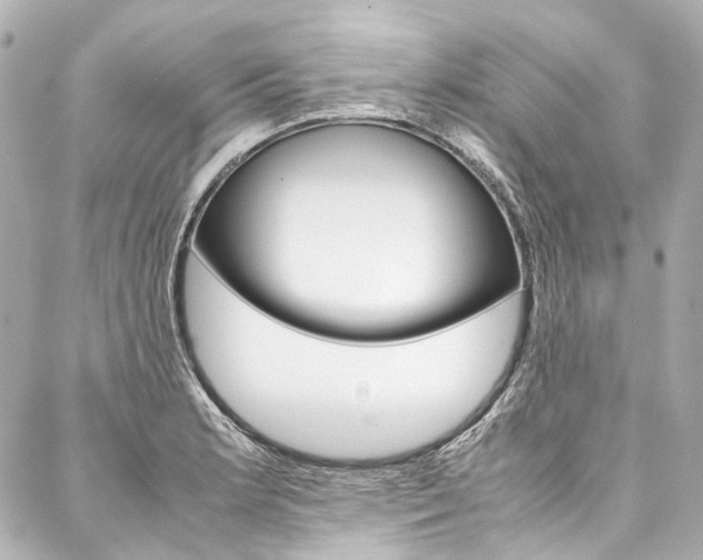 X0000088091181200705111054