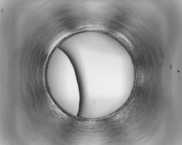 X0000088091182200705111054