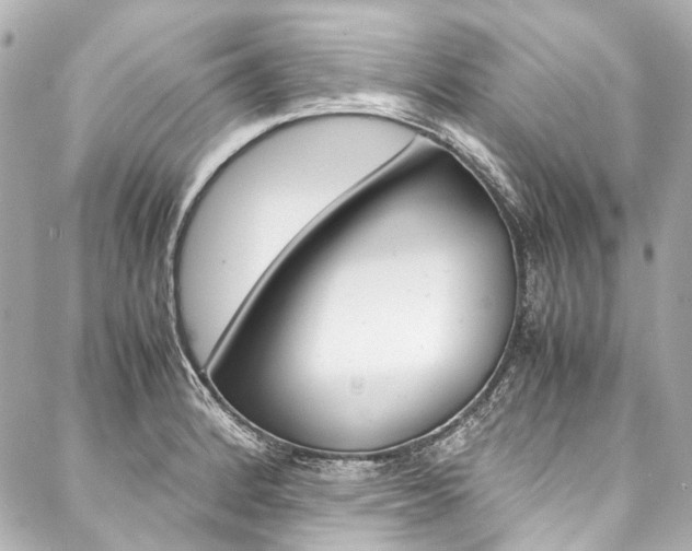 X0000088091184200705111054