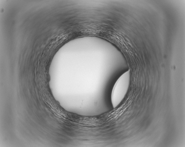 X0000088091201200705111053